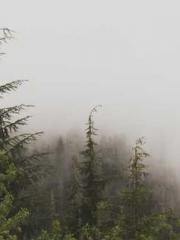 Peninsula Asteroid l