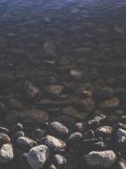 Ultimate Bodyguard Ultimate Bodyguard