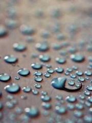 The Realm of the Dao