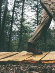 The Generalapos;s Hu