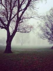 lt;lt;Marvel: Connec lt;lt;Marvel: Connec