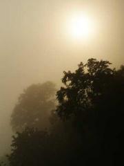 Shen Ning Ran Bao Ji Shen Ning Ran Bao Ji