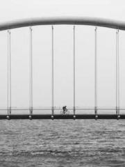 Becoming a solitary 