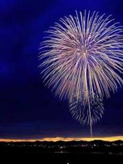 The War of National The War of National