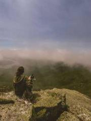 Transmigration: Feel