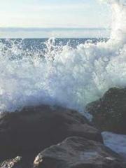 lt;lt;All in, my dec