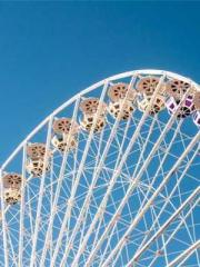 Spring fills Beijing