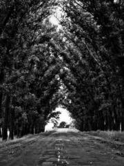 Omnipotent Mad Young