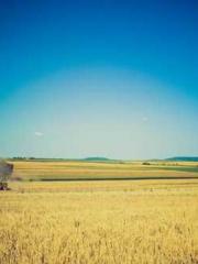 Reborn in 1989: Crea