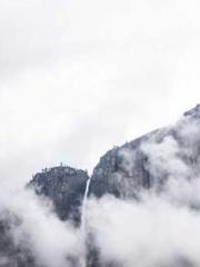 Reborn in 1989: Crea