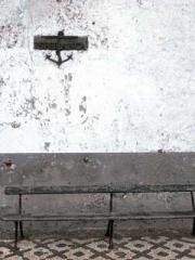 Transmigration: Feel