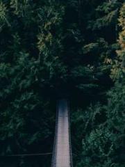 Rebirth of the Super