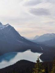 Grave Robbing: Openi